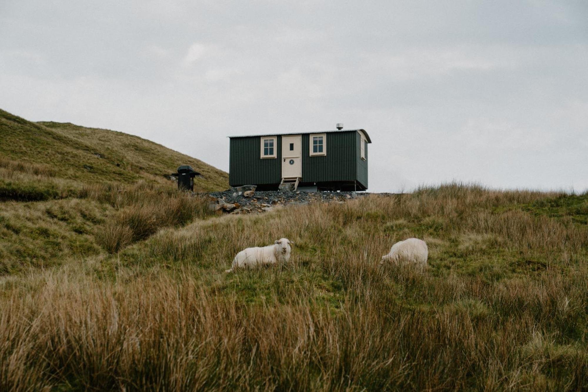 Barlwyd Glamping Hotel Blaenau Ffestiniog Eksteriør billede
